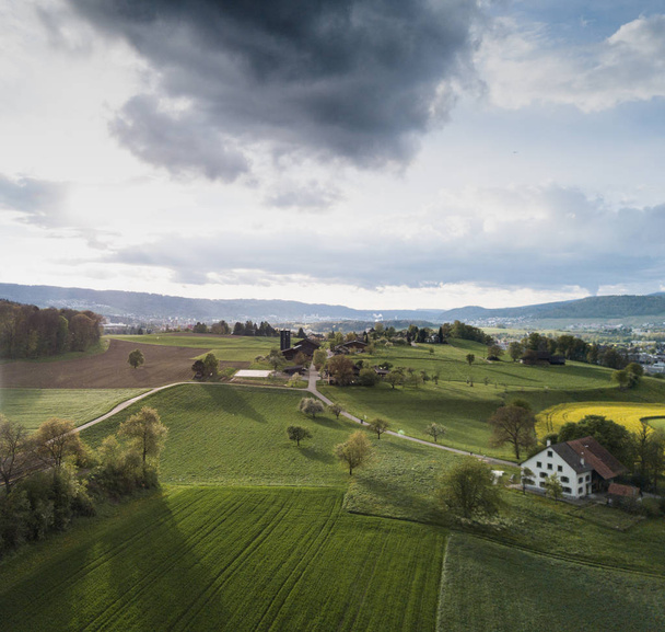 Luftaufnahme des Waldes und des offenen Geländes in der Schweiz von oben. ruhige Landschaft. - Foto, Bild