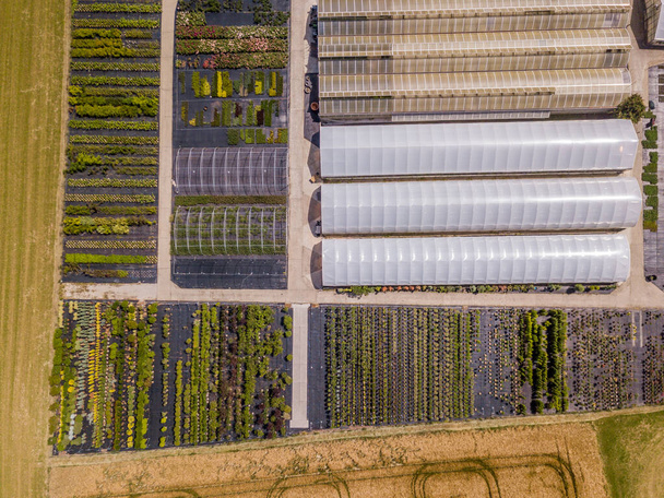 Vue aérienne de rangées de jeunes plants cultivés en pépinière
  - Photo, image