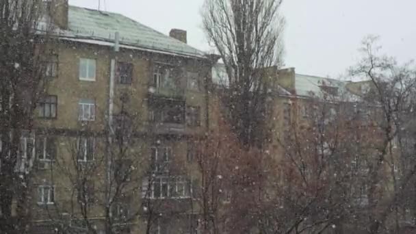 Snowfall in the city during the day. Kyiv. Ukraine - Imágenes, Vídeo