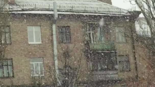 Śnieg w mieście w ciągu dnia. Kijów. Ukraina. Zwolniony ruch - Materiał filmowy, wideo