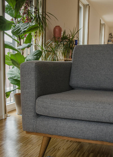 graue Couch im modernen Wohnzimmer der Wohnung. Nahaufnahme der Kante - Foto, Bild