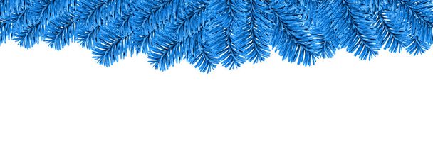 Christmas evergreen fir tree border, toned blue color, isolated on white background - Photo, Image