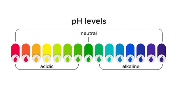 kolor kodowany poziom ph w wodzie dla kwasu i zasad - Wektor, obraz