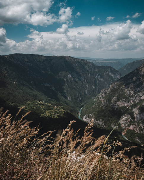 Вид на зелений річковий каньйон в Чорногорії. Чудовий краєвид - Фото, зображення
