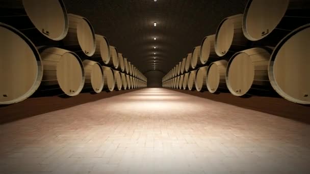 Wine Storage ,walk through, motion graphic - Footage, Video