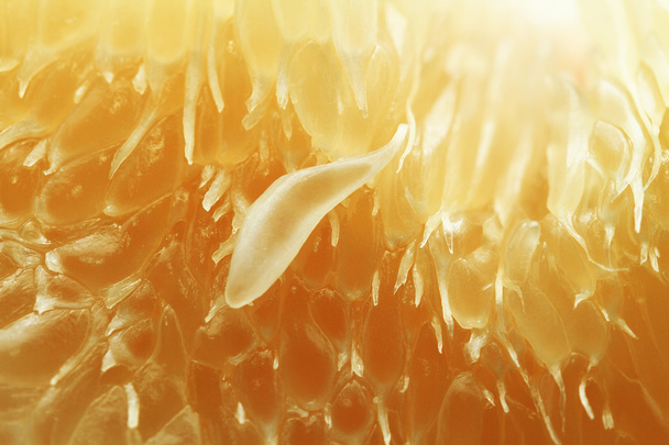 Texture of pamelo pulp - Φωτογραφία, εικόνα