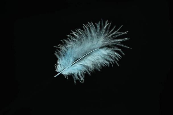 Hermoso patrón de plumas de pájaro azul para la textura del diseño. Aislado sobre fondo negro
 - Foto, imagen
