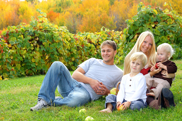 Onnellinen perhe istuu nurmikolla syöminen omenat hedelmätarhassa
 - Valokuva, kuva