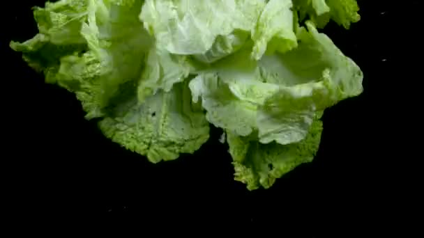 Встряхивание мокрым салатом в замедленной съемке на черном фоне
 - Кадры, видео