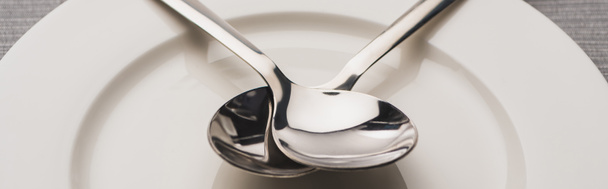 Panoramic shot of two shiny spoons on plate - 写真・画像