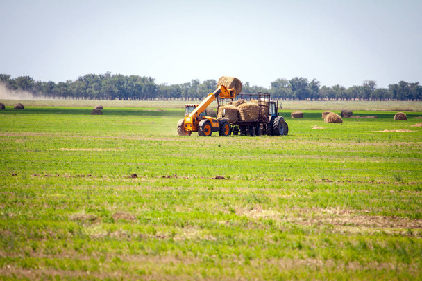 Traktor szénabálák rakodása tehergépkocsira mezőgazdasági munkák - Fotó, kép