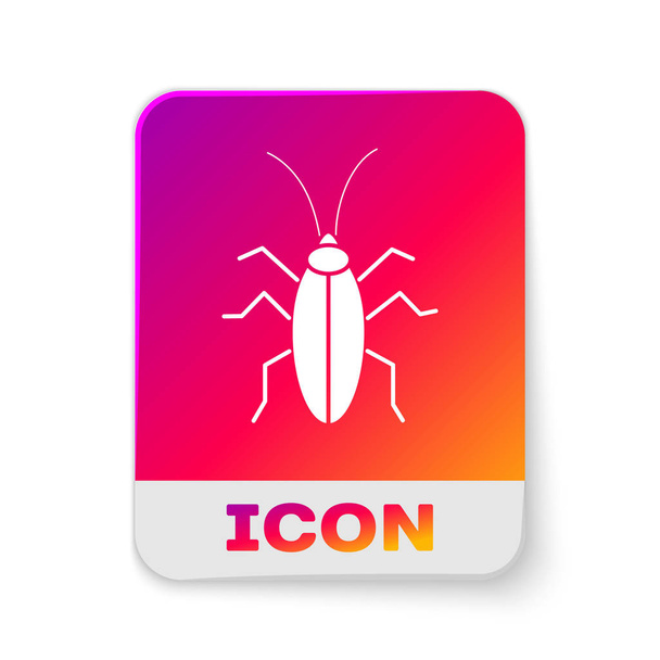 White Cockroach icon isolated on white background. Rectangle color button. Vector Illustration - ベクター画像