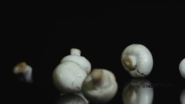Funghi che cadono al rallentatore
 - Filmati, video