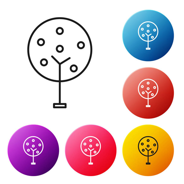Black line Tree icon isolated on white background. Forest symbol. Set icons colorful circle buttons. Vector Illustration - Wektor, obraz