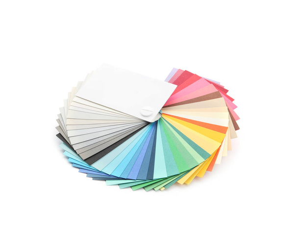Tavolozza dei colori isolata sul bianco. Campioni professionali
 - Foto, immagini