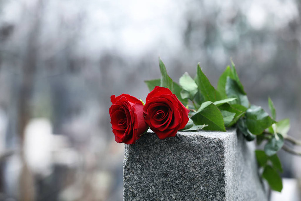 Red roses on grey granite tombstone outdoors. Funeral ceremony - Foto, Imagem