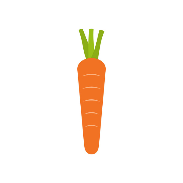 Carrot icon isolated on white background. Single carrot symbol. Orange crunchy vegetable. Healthy food rich in Vitamin A from beta carotene. Daucus carota. Vector illustration, flat style, clip art. - Vector, Image