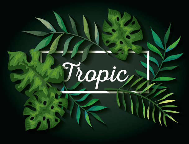 tło liści tropikalnych naturalnych - Wektor, obraz
