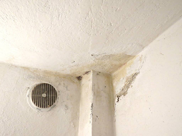 Mancha en el techo por fugas de agua. Daño en la pared envejecida del molde del hongo. Crecimiento de moho en superficie de pared blanca vieja
. - Foto, Imagen