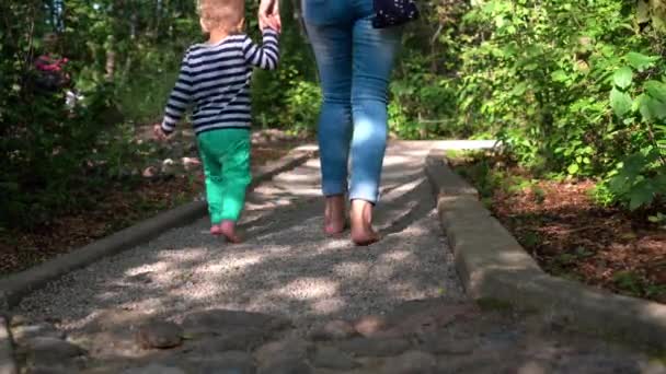 Moeder met kinderen wandelen door ruw pad met kleine stenen - Video