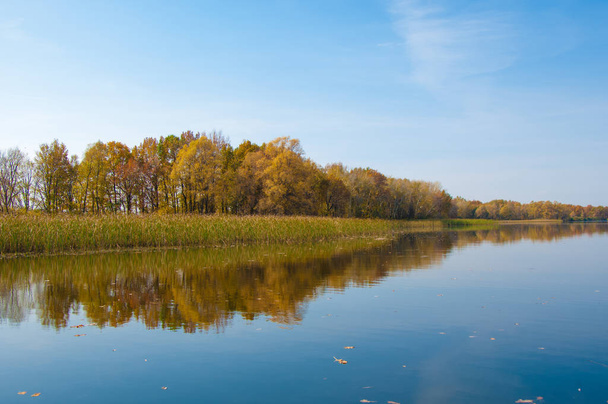 Otoño tranquilo en el lago reflejo de los árboles en el agua
 - Foto, imagen