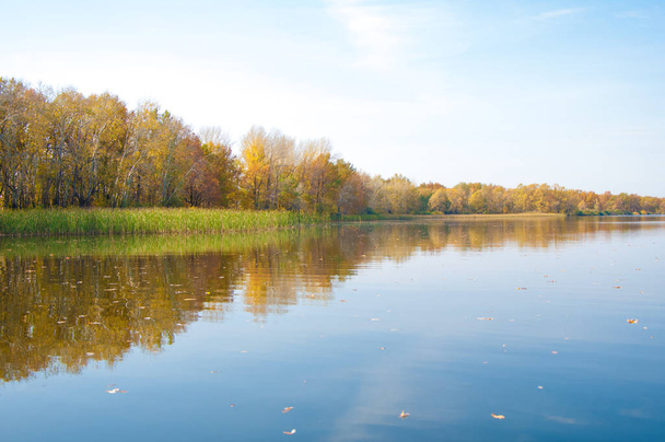 Syksy rauhallinen järvellä heijastus puiden vedessä
 - Valokuva, kuva