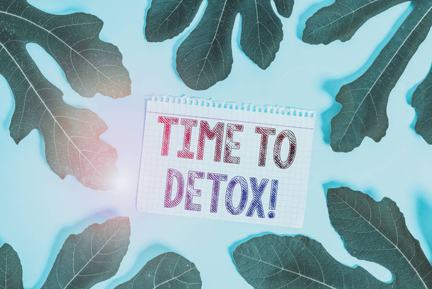 Word writing text Time To Detox. Business photo showcasing when you purify your body of toxins or stop consuming drug Leaves surrounding notepaper above an empty soft pastel table as background - Photo, Image