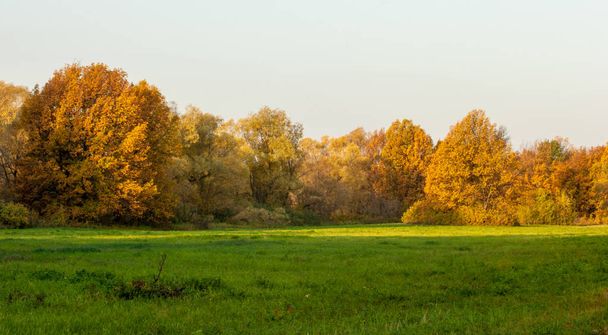 秋の風景。美しい湖の上の秋のカラフルな葉 - 写真・画像