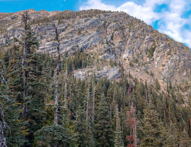 Чудові краєвиди засніжених гір та альпійських дерев у незайманій пустелі під час падіння з перевалу Вашингтон Overlook trail у Національному парку Північний Каскад біля міста Вінтроп - Вашингтон - Фото, зображення