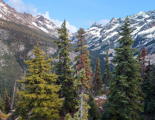 Vue magnifique sur les montagnes enneigées et les arbres alpins dans la nature sauvage vierge à l'automne depuis le sentier Washington Pass Overlook dans le parc national North Cascade à l'extérieur de Winthrop Washington
 - Photo, image