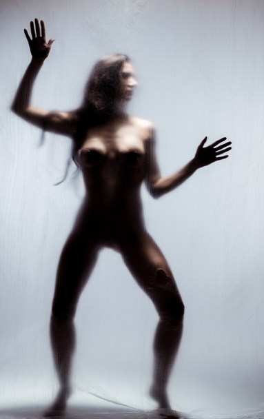 Silhouette of a naked woman - Foto, afbeelding