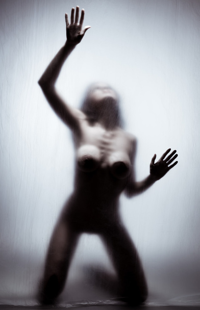Silhouette of a naked woman - Valokuva, kuva