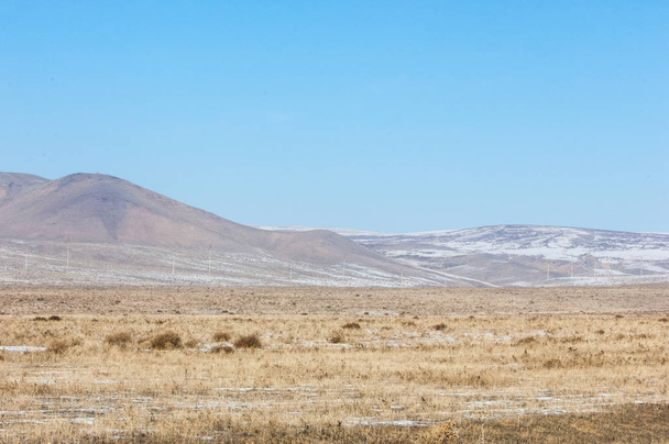 steppe, prairie, veld, veldt - Foto, afbeelding