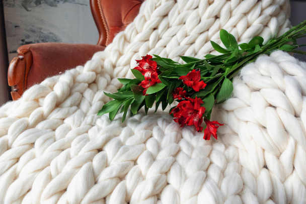 Cute bouquet of red flowers on the knitted white merino wool plaid - Foto, Imagem