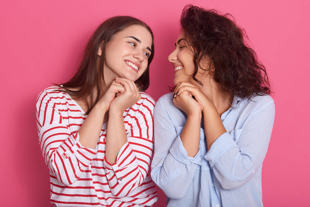 Retrato de estudio de dos chicas posando aisladas sobre fondo de rosa, lindos amigos mirándose con encantadoras sonrisas y admirando, manteniendo sus manos bajo la barbilla. Concepto de amor del mismo sexo
. - Foto, Imagen