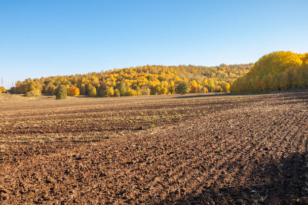 Φθινοπωρινό τοπίο Πεδίο όργωμα στο φόντο ενός φθινοπώρου t - Φωτογραφία, εικόνα