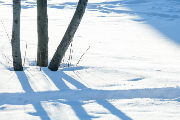 Texture, background, pattern. Footprints in the snow. The frost  - Photo, Image
