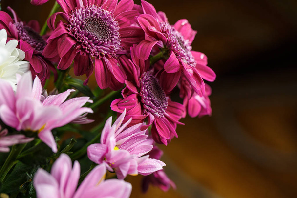 Beautiful different colors, white, red and pink in a bouquet is very close for a gift or decoration - Foto, Imagen