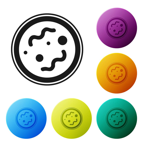 Black Bacteria icon isolated on white background. Bacteria and germs, microorganism disease causing, cell cancer, microbe, virus, fungi. Set icons colorful circle buttons. Vector Illustration - Vektor, obrázek