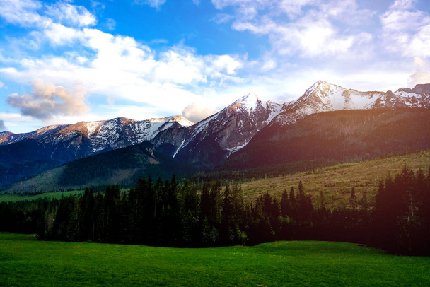 Літній гірський ландшафт. Гори Татра, Словаччина. Природа. - Фото, зображення
