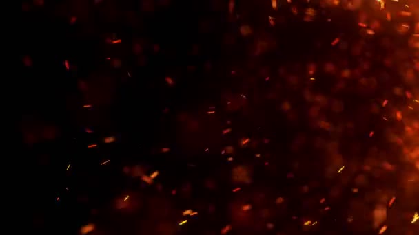 Chispas rojas ardientes vuelan desde un gran fuego en el cielo nocturno. Hermoso fondo abstracto sobre el tema de fuego, luz y vida. Brasas ardientes que brillan volando lejos partículas sobre fondo negro. - Metraje, vídeo