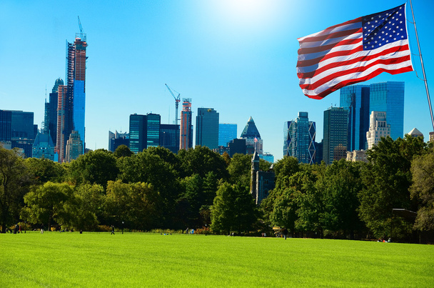 Park van new york met vlag - Foto, afbeelding