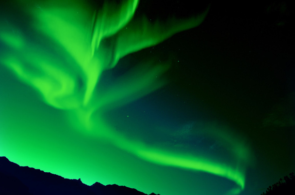 Alaska Kuzey ışıkları - Fotoğraf, Görsel