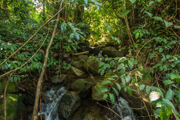 Kathu Vesiputous trooppisessa metsässä Aasiassa, sopii kävelee, luonto kävelee ja vaellus, seikkailu valokuvaus Kansallispuisto Phuket Thaimaa, Sopii matka- ja vapaa. - Valokuva, kuva
