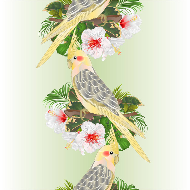 Vertical border seamless background funny  parrot yellow cockatiel cute tropical bird  and white hibiscus watercolor style on a green background vintage vector illustration editable hand draw - Vector, Image