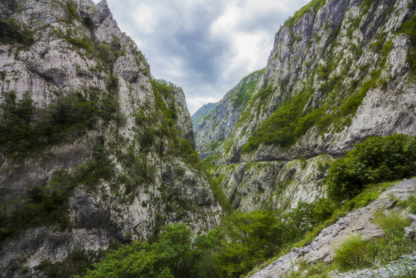 05 October, 2019, Montenegro. Views of road trough tunnels, canyons, mountains and forests in the Durmitor nature park - Foto, imagen