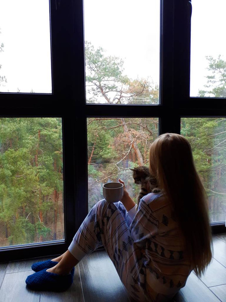 fair-skinned young girl with blond long hair in pajamas sits by the window with a gray cup and a kitten - 写真・画像