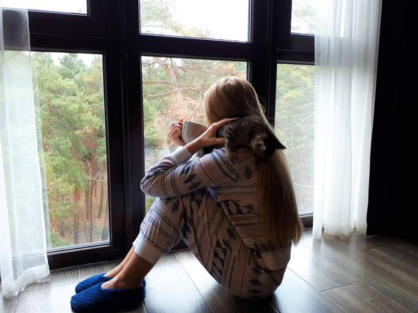 chica joven de piel clara con el pelo largo rubio en pijama se sienta junto a la ventana con una taza gris y un gatito
 - Foto, imagen