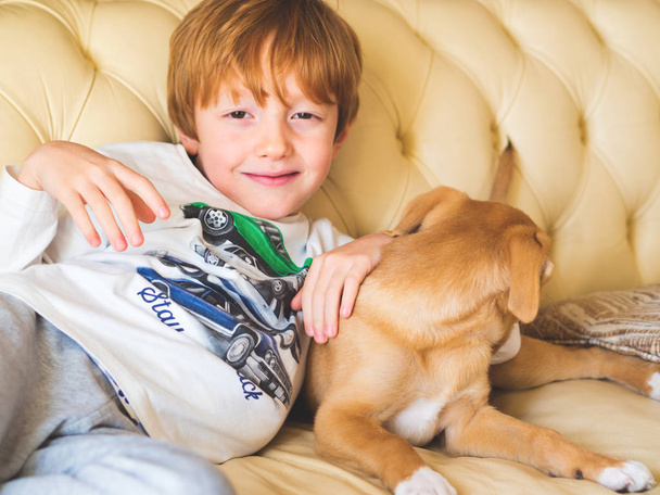 Küçük sarışın çocuk kanepede köpeğiyle oynuyor. - Fotoğraf, Görsel