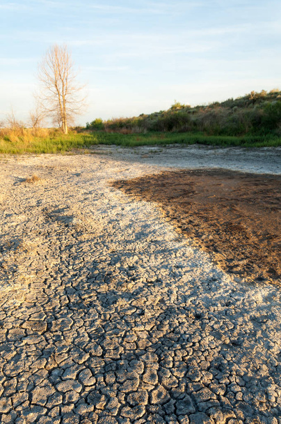 Pusztai szikes talajok. sós só só. Pusztai prairie ve - Fotó, kép
